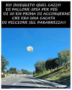 pallone_spia.jpg